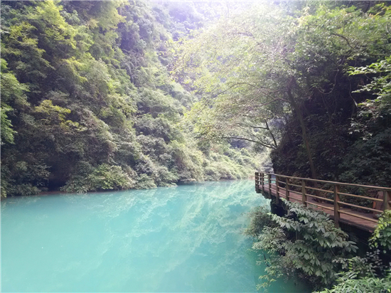 张家界大峡谷风光
